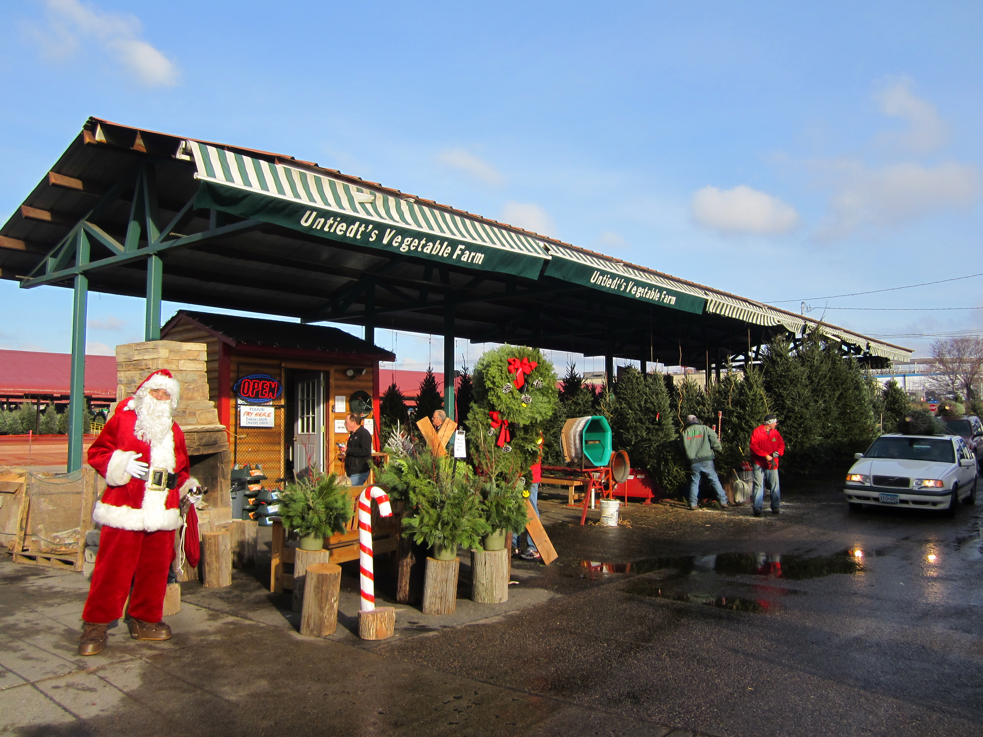 Downtown Christmas Tree Lot